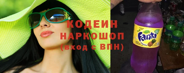 хмурый Алзамай