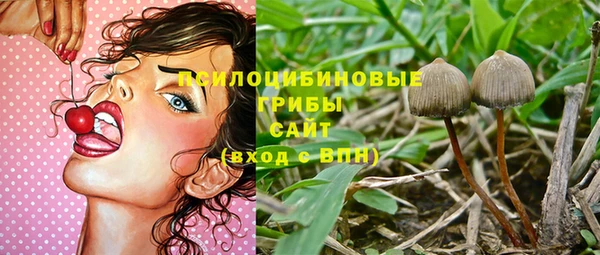 соль ск Алексин