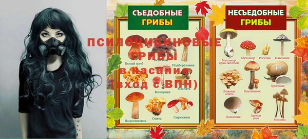 хмурый Алзамай