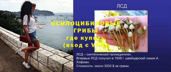 хмурый Алзамай