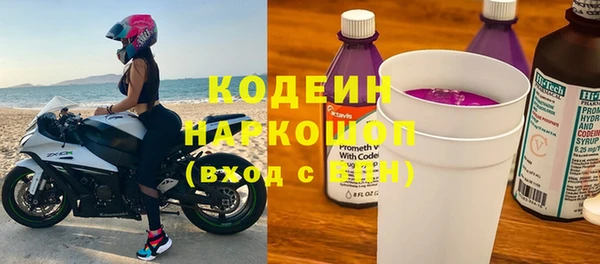 хмурый Алзамай
