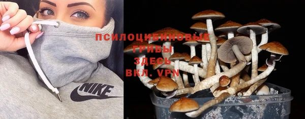 ГАЛЛЮЦИНОГЕННЫЕ ГРИБЫ Алексеевка