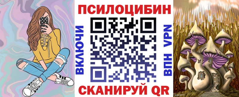 как найти наркотики  даркнет как зайти  Псилоцибиновые грибы ЛСД  Чишмы 